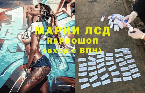 PSILOCYBIN Алзамай