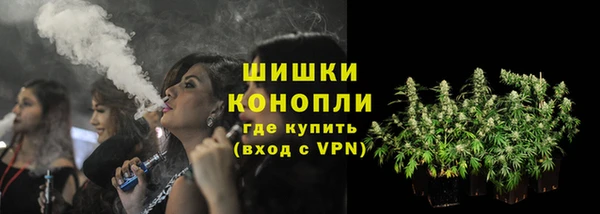 PSILOCYBIN Алзамай