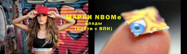 PSILOCYBIN Алзамай