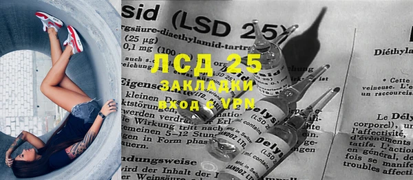 PSILOCYBIN Алзамай