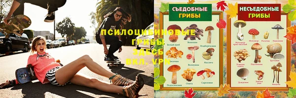 PSILOCYBIN Алзамай