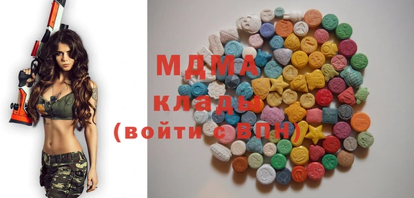 PSILOCYBIN Алзамай